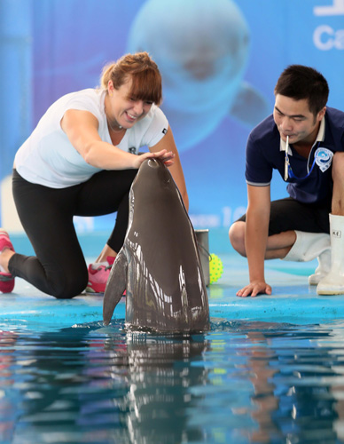 成为了球队 成为了球队