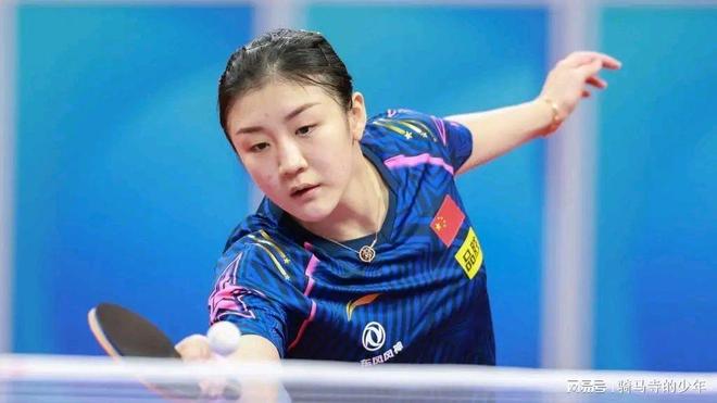 了广泛关注 了广泛关注